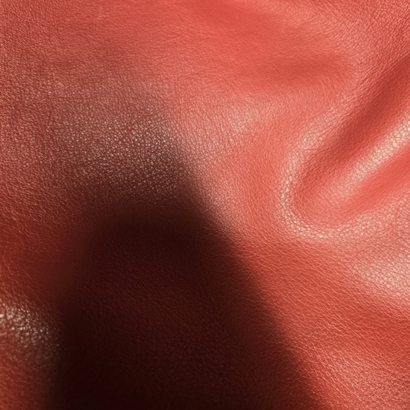 Dooney & Bourke Red Pebbled Leather Large Hobo Bag 2014 - Picture 11 of 16